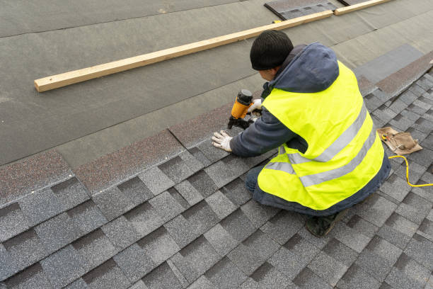 Best Roof Gutter Cleaning  in Antwerp, OH